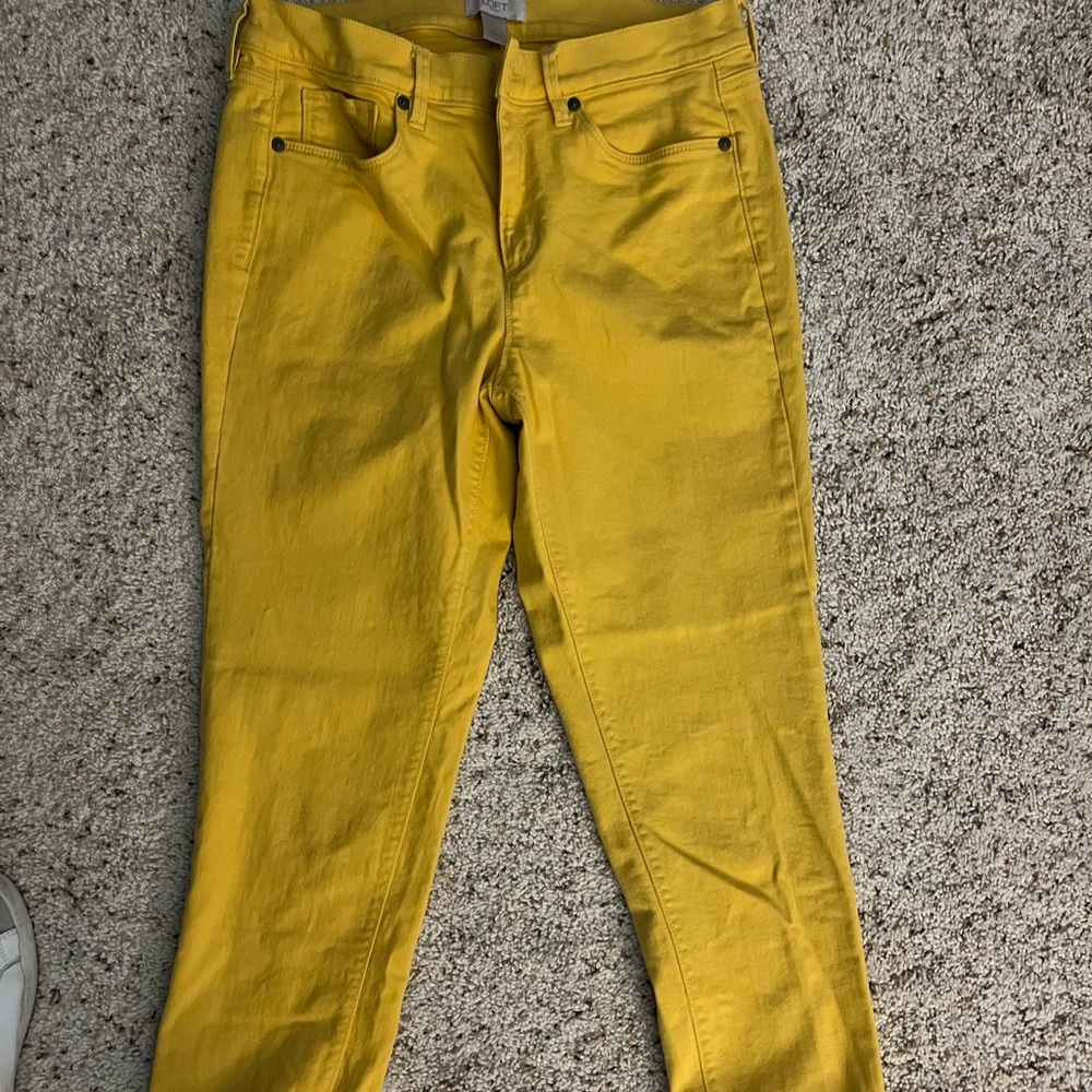 Loft pants
